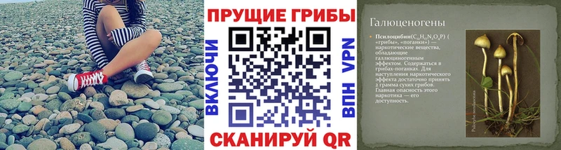 наркотики  Куса  Галлюциногенные грибы MAGIC MUSHROOMS 