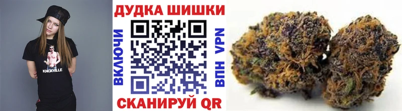 Бошки Шишки семена  закладки  Куса 